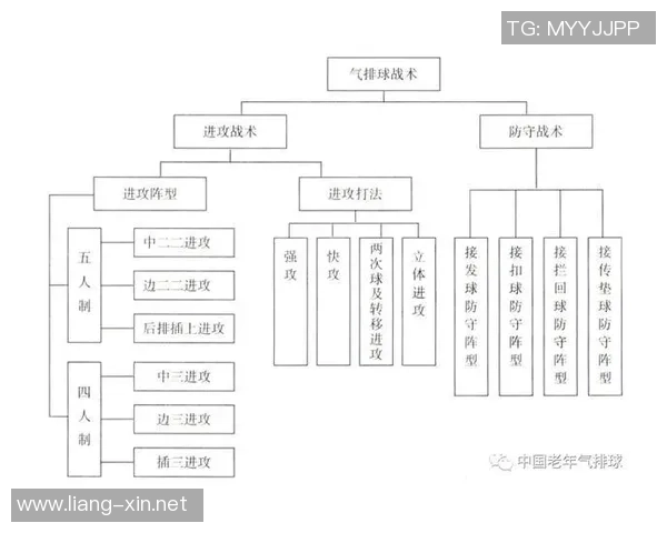 深圳排球队的转换体系与排球战术创新探索分析 深圳排球队的转换体系与排球战术创新探索分析